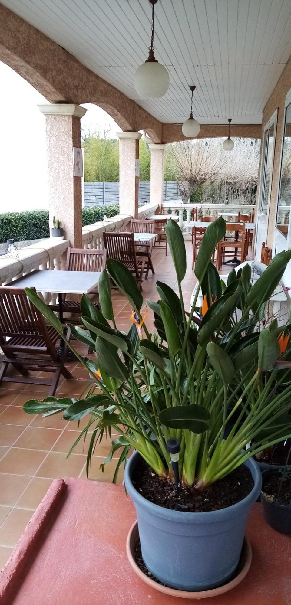 Le Grand Jardin Aujargues